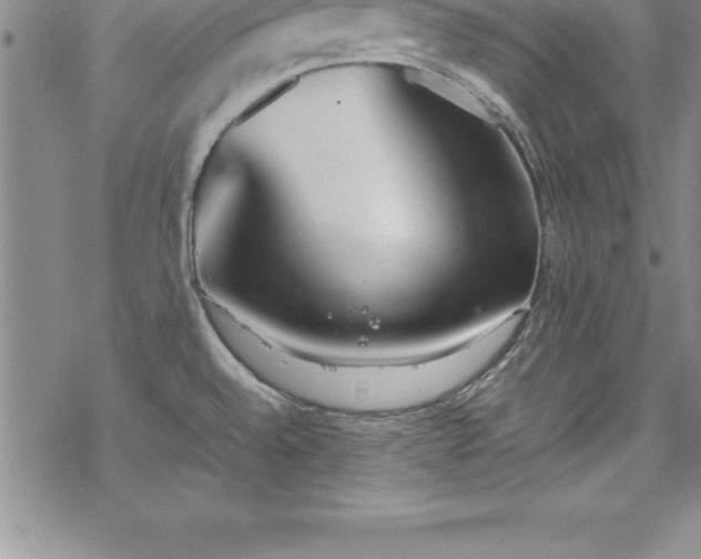 X0000069391528200605150930