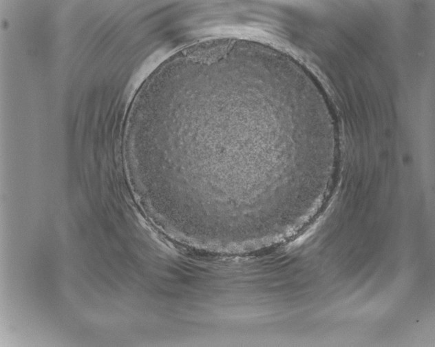 X0000069391529200605150930