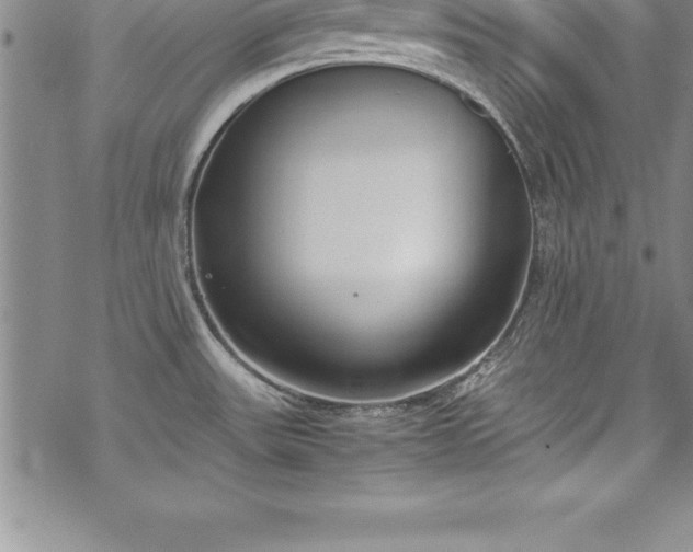 X0000069391531200605150930