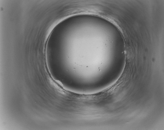 X0000069391532200605150930