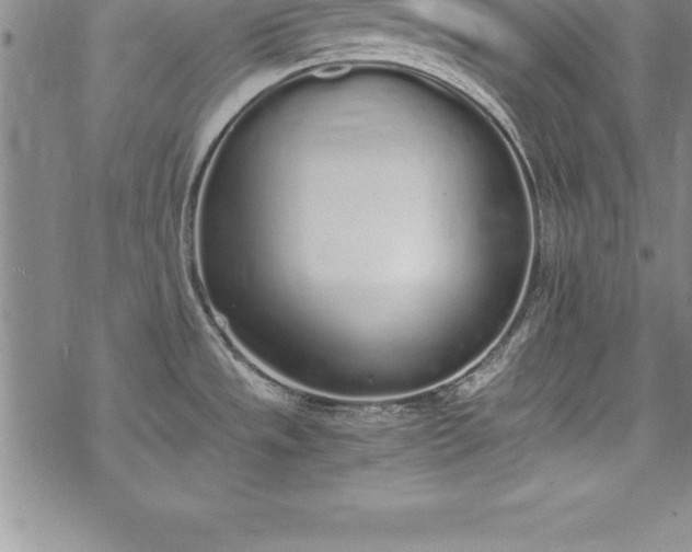 X0000069391533200605150930