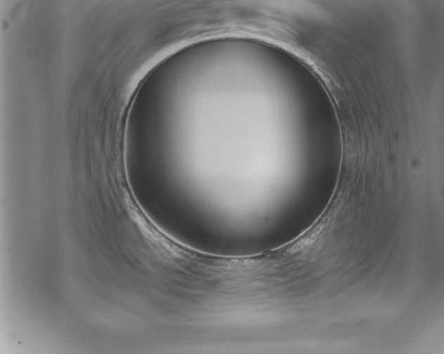 X0000069391534200605150930