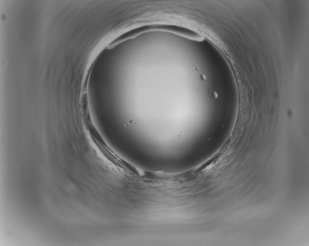 X0000069391536200605150930