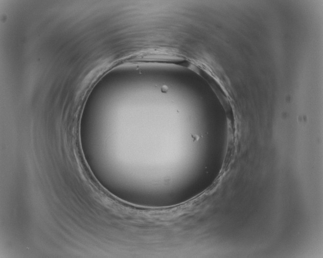 X0000069390001200605192225