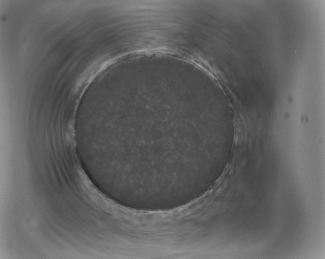 X0000069390002200605192225