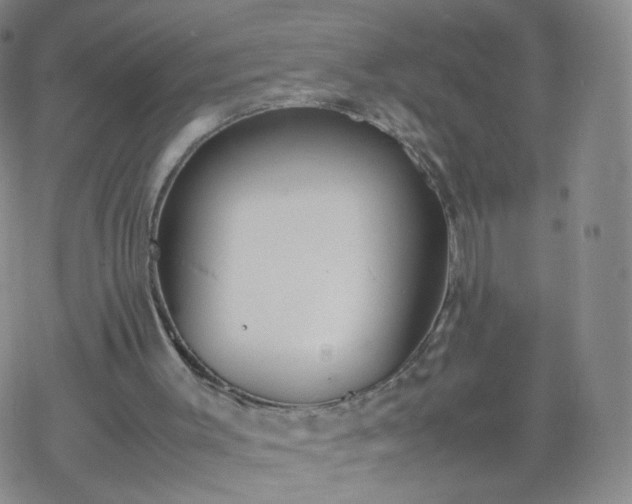 X0000069390003200605192225