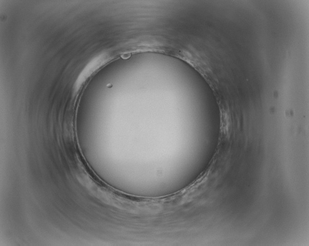 X0000069390004200605192225