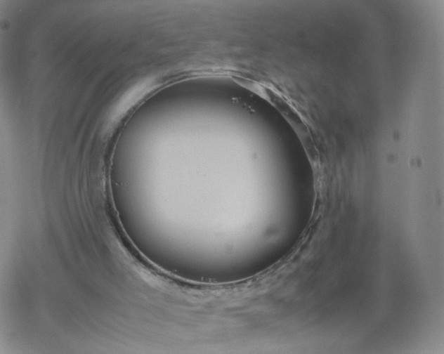 X0000069390005200605192225