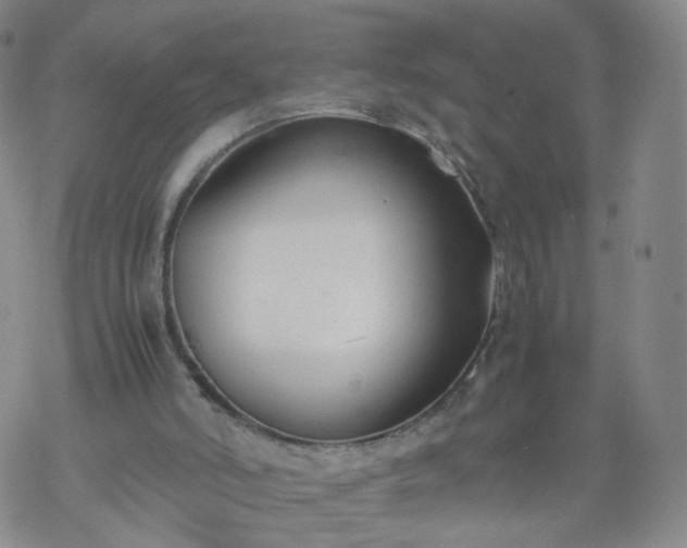 X0000069390006200605192225