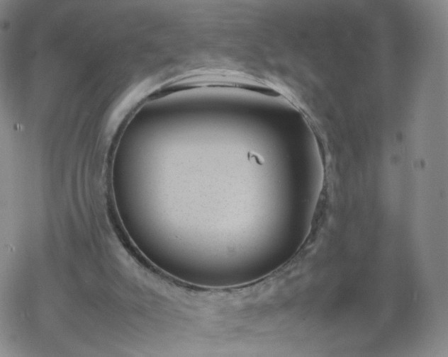 X0000069390007200605192225