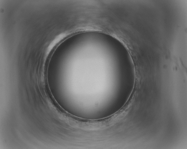 X0000069390008200605192225