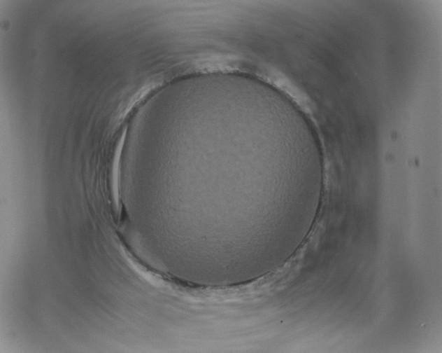 X0000069390009200605192225