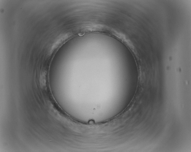 X0000069390010200605192225