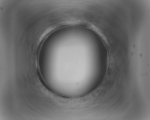 X0000069390011200605192225