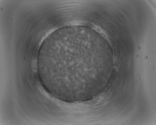 X0000069390012200605192225