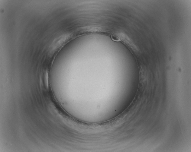 X0000069390014200605192225