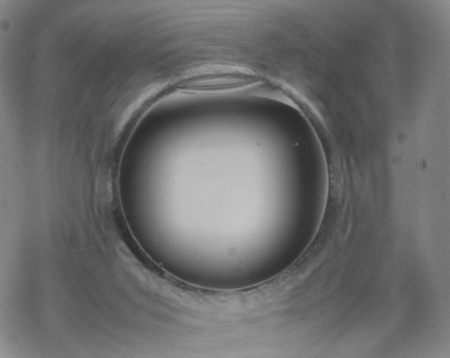 X0000069390015200605192225