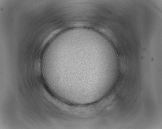 X0000069390016200605192225