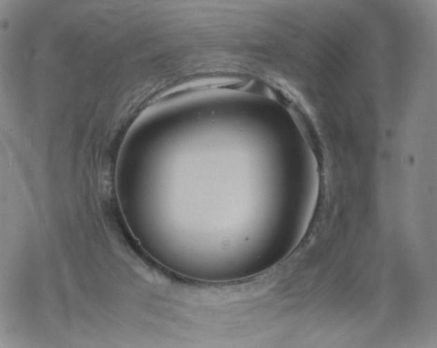 X0000069390017200605192225