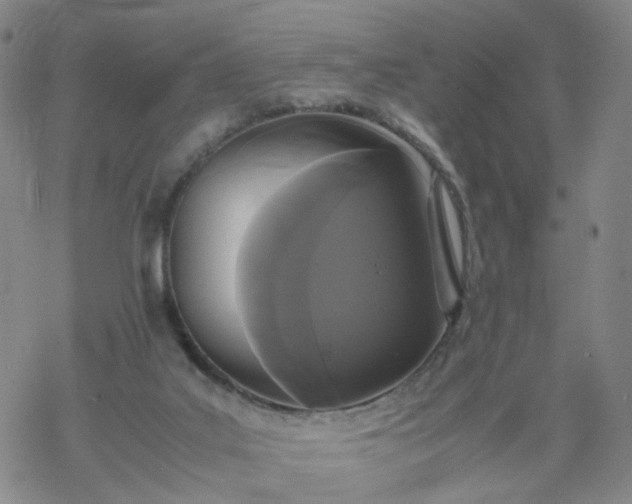 X0000069390019200605192225