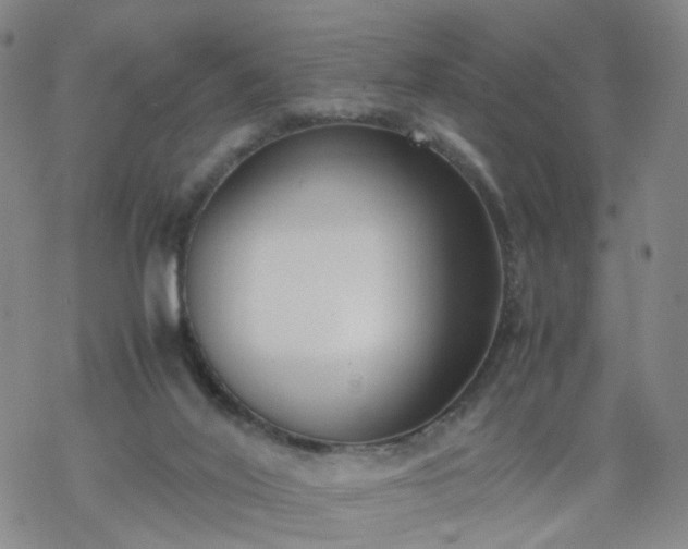 X0000069390020200605192225