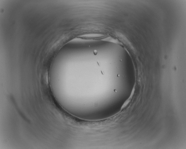 X0000069390021200605192225