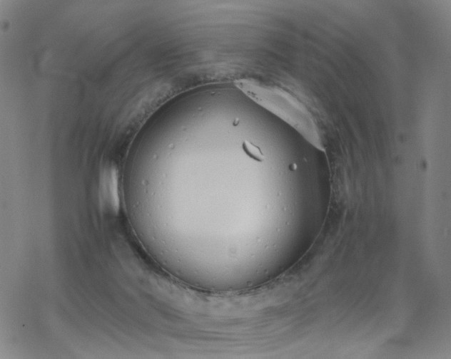 X0000069390022200605192225