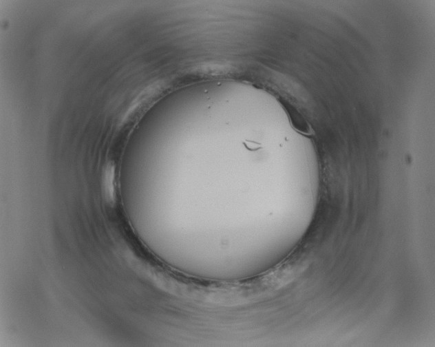 X0000069390024200605192225