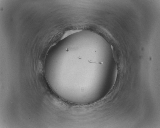 X0000069390025200605192225