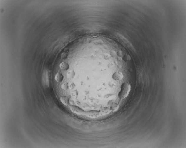 X0000069390026200605192225