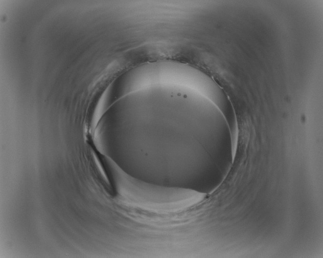 X0000069390027200605192225