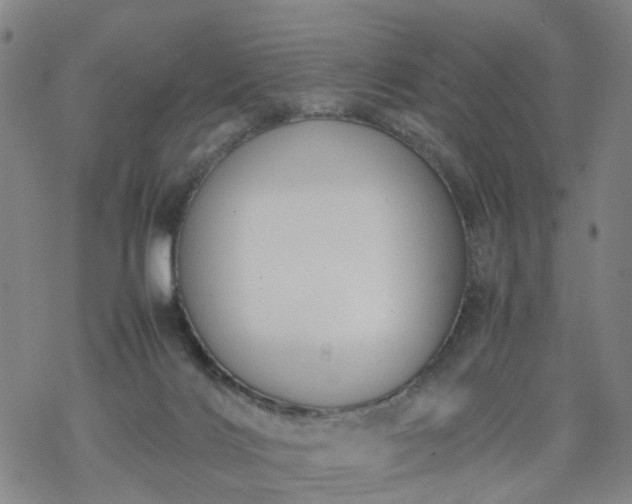 X0000069390028200605192225