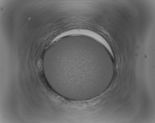 X0000069390029200605192225