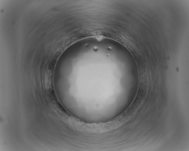 X0000069390030200605192225