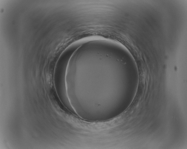 X0000069390031200605192225