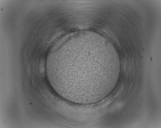 X0000069390032200605192225