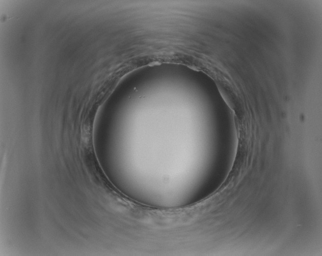 X0000069390033200605192225