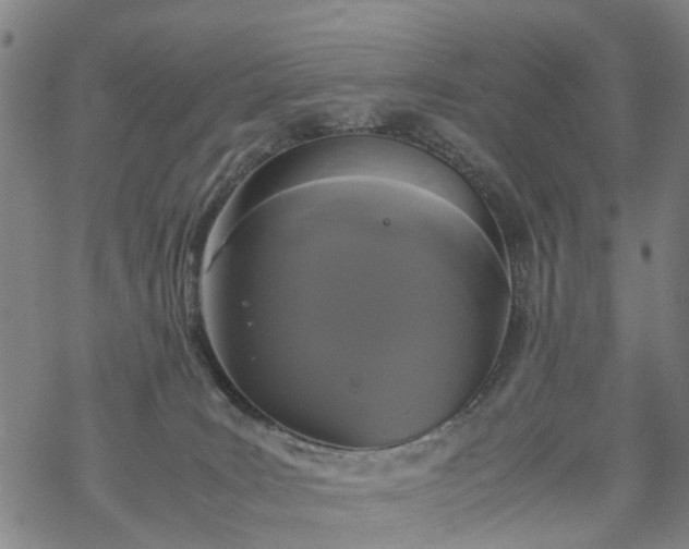 X0000069390035200605192225