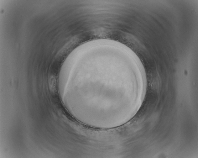 X0000069390036200605192225