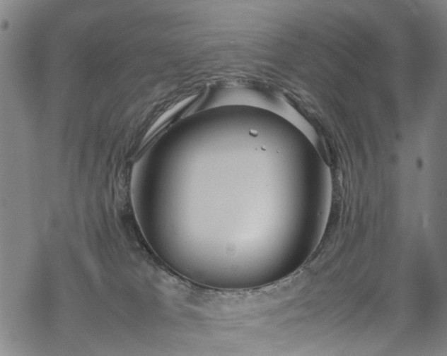 X0000069390037200605192225