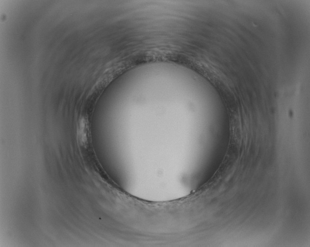 X0000069390038200605192225