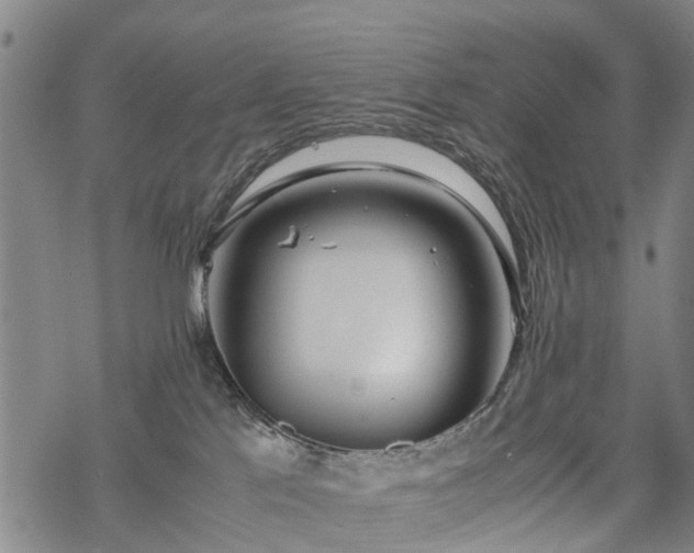 X0000069390041200605192225