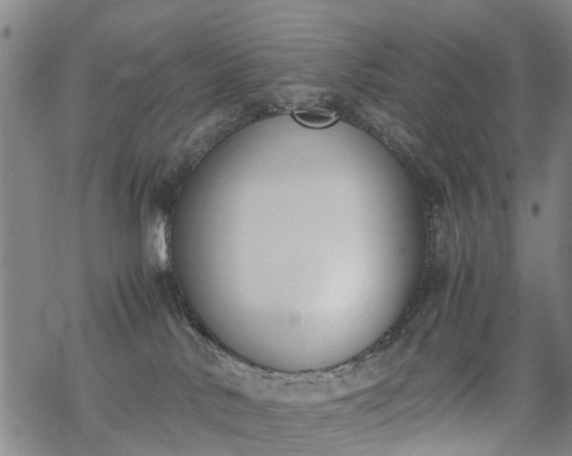 X0000069390042200605192225