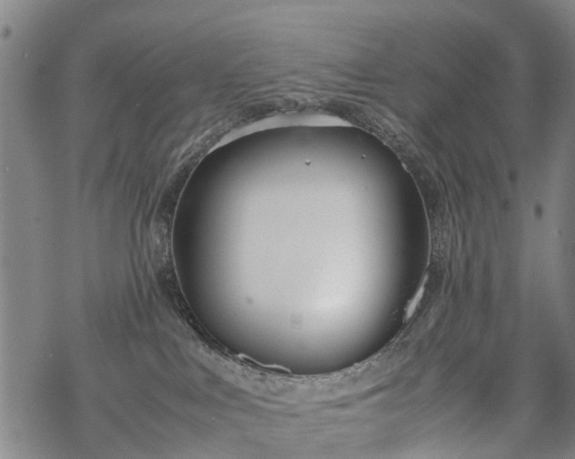 X0000069390043200605192225