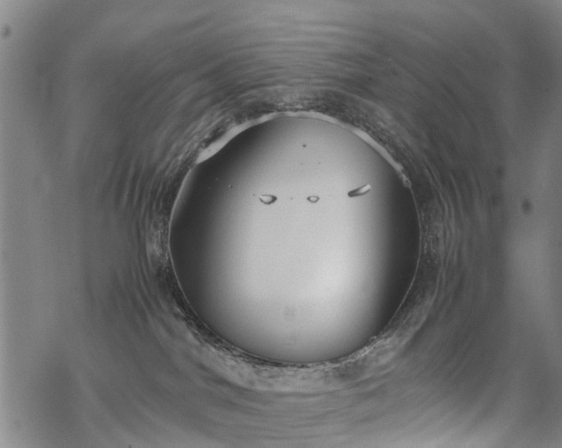 X0000069390044200605192225