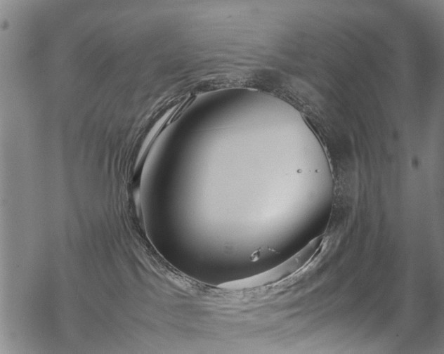 X0000069390045200605192225