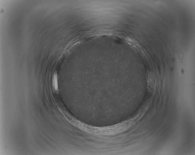 X0000069390046200605192225