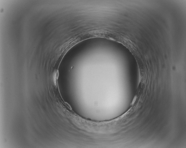 X0000069390047200605192225