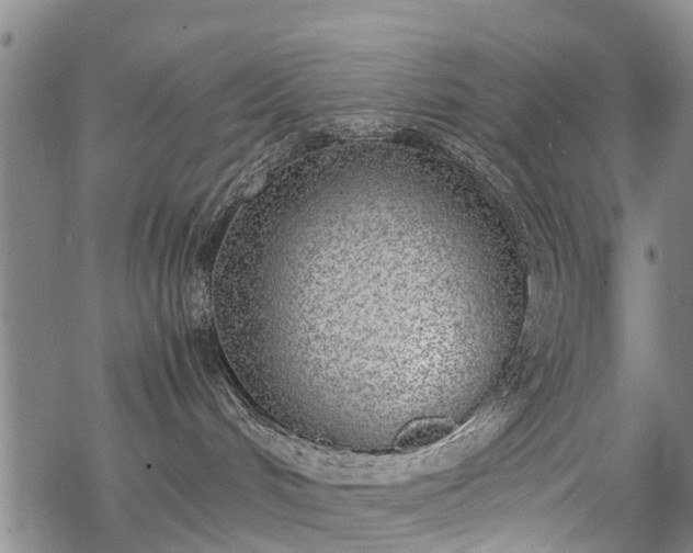 X0000069390048200605192225