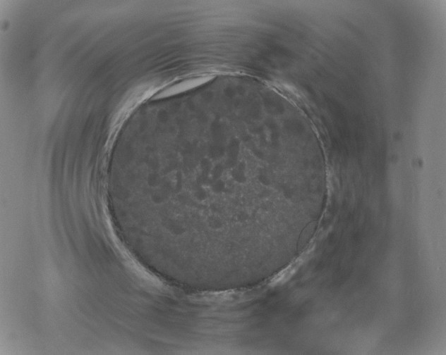 X0000069390049200605192224